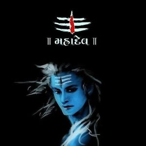 Meet your Posher, Satinder